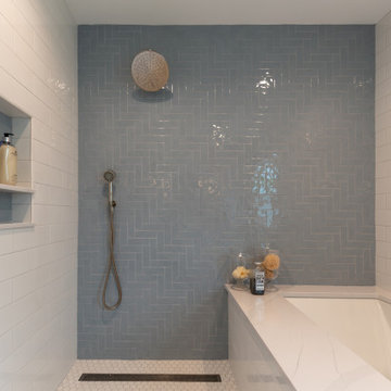 Evanston Primary Bath Transformation