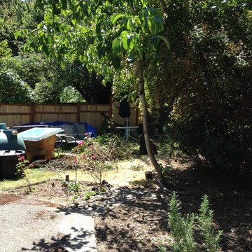 Zen Water project - ongoing