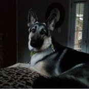 Rich Delgado's photo