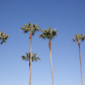 Tamara Marshall's photo