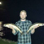 Nick Gundale's photo