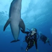 Amy Anstead's photo