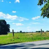 Foto von Ute Wehmeier