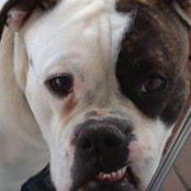 Pat Norton's photo
