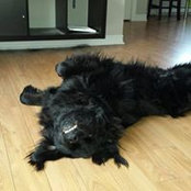 Florence Boucher's photo
