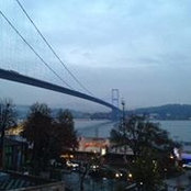 Elif Yener's photo