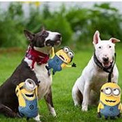 Margaret Hauser's photo