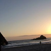 Christofer Andersen's photo