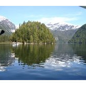 Vicente Gil's photo