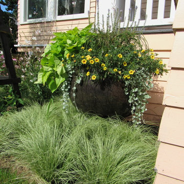 Floral Abundance