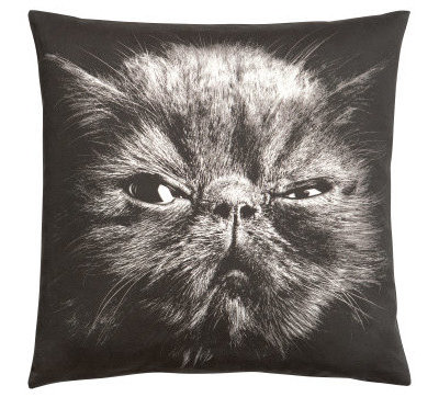 Eclectic Decorative Pillows by H&M