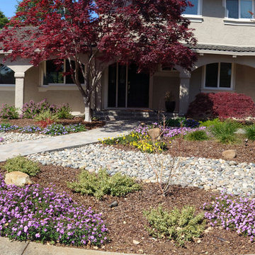 DESIGN TO COMPLIMENT MAPLE TREES