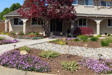 Photo of a landscaping in San Francisco.