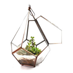 Geometric terrariums by Daring Flowers - Accessories and Decor