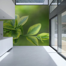 Printable Walls