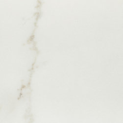 Marvel Calacatta Apuano Polished 12x24 - Wall And Floor Tile