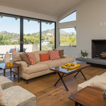 Contemporary whole house remodel