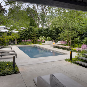 Forest Hill Modern Backyard