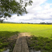 Matthew Morton's photo