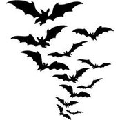 Paula J Hogan's photo