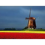 Foto von Ann-Margaret Droog