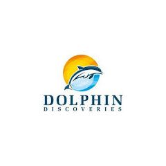 dolphindiscoveries