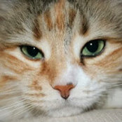Jeffrey Dougan's photo