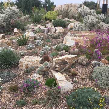 Cactus garden, Undaunted Garden at the Gardens on Spring Creek
