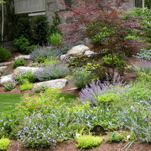 Kabus Landscape Ideas