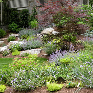Hillside with rugged stone path: summer