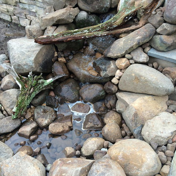 Water features