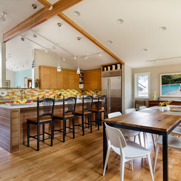 Seattle Mid-Century Remodel/Addition
