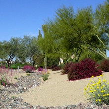 Landscape