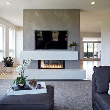Two Sided Fireplace with Concrete Surround