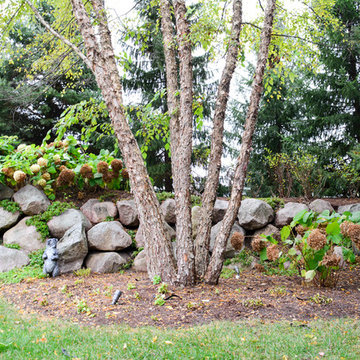 Hoffman Estates Backyard Privacy Landscape