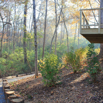 Anderson Backyard Woodland