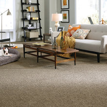 carpet