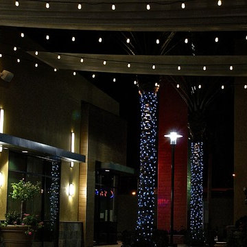 Holiday Lighting - 2014 Season
