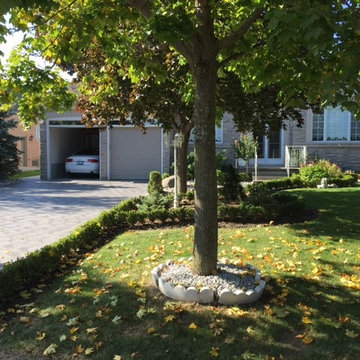 Before Photos of Our Landscape Lighting Projects