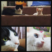 Ashley Melgarejo's photo