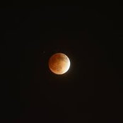 Steven Lieu's photo