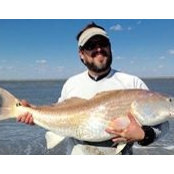 David Warren's photo