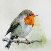 Eloisa Vidal's photo