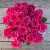Sarah Sharples's photo