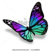 Erika Mansfield's photo