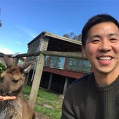 Foto von Calvinator Yeung