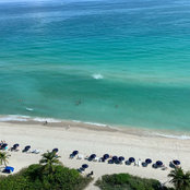 Jacqueline Leider's photo
