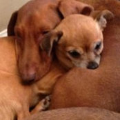 Lisa Henton's photo