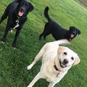 Doni Bell's photo