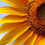 Kellie McQuaig's photo